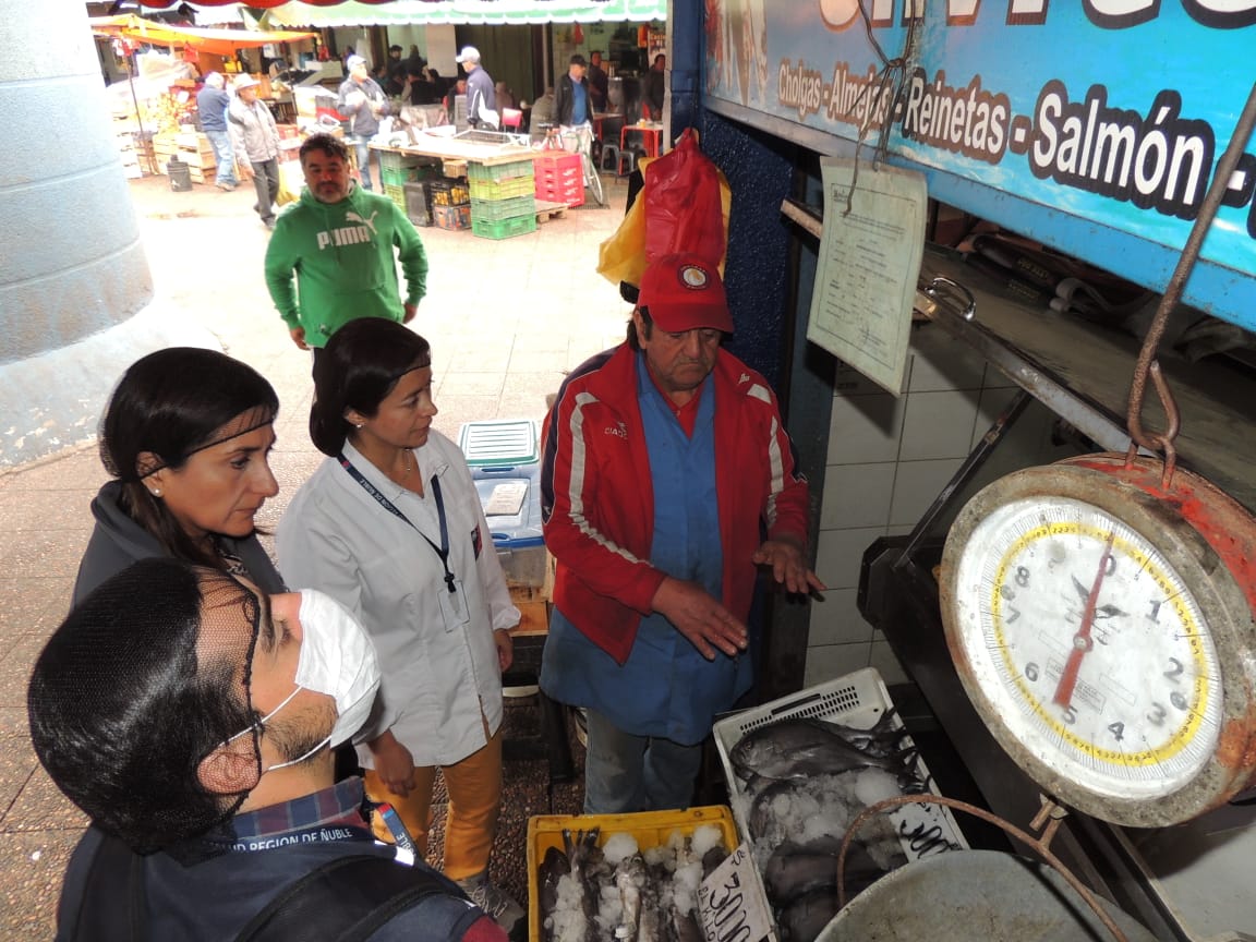 Intensifican Fiscalización a Transporte y Venta de Pescados y Mariscos -  SEREMI de Salud Ñuble